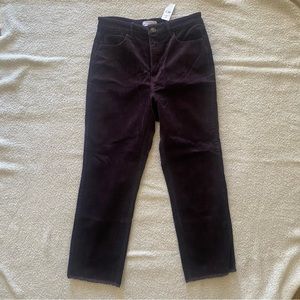 Loft Pants corduroy 29/8 NWT
